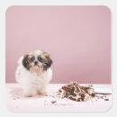 Search for flooring stickers Domestic animals