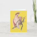 Search for galah cards Australian
