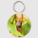 Search for snail shell key rings Molluscs