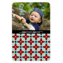 Search for lady beetles magnets Insects