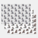 Search for kitties wrapping paper Cat