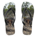 Search for kangaroo thongs Australian