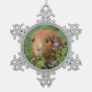 Search for guinea pig christmas decor Cute