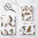 Search for owls wrapping paper Forest animals