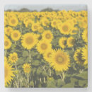 Search for provence coasters Flower