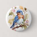 Search for bluebird badges Animal