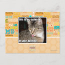 Search for opinion postcards I can has cheezburger