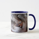 Search for pussycat mugs Feline