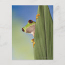 Search for scale leaf postcards Cold blooded