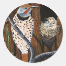 Search for flickering stickers Nature