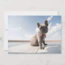 Search for french bulldog thank you cards Young animal