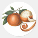 Search for mandarin orange stickers Fruit