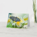 Search for danita delimont cards Close up