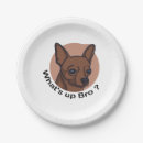 Search for chihuahua quotes Cute