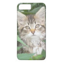 Search for maine coon cat iphone cases Kitty