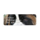 Search for saints return address labels Pet