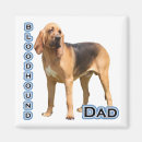 Search for stein magnets Travel