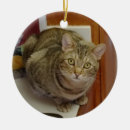 Search for brown tabby cat christmas tree decorations Animals