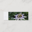 Search for secrets business cards Garden