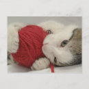 Search for studio shot postcards Horizontal