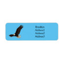 Search for bald eagle return address labels Bird