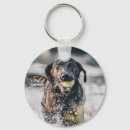 Search for black labrador key rings Animal