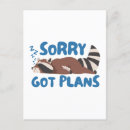 Search for funny racoon Cool