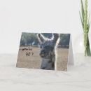 Search for over the hill 40th birthday cards Funny