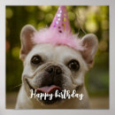 Search for happy dog posters Pets
