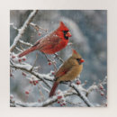 Search for cardinal puzzles Red