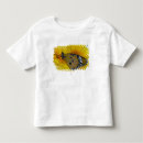 Search for tropical butterfly tshirts Colourful