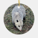 Search for possum christmas tree decorations Marsupial