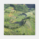Search for arable Crop