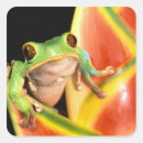 Search for tree frog stickers Flower