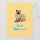 Search for siamese postcards Feline