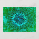 Search for microscopic postcards Chemical