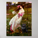 Search for schipperke posters Dogs