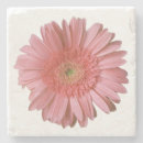 Search for daisy coasters Chic
