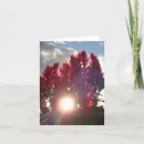 Search for flaming cards Floral