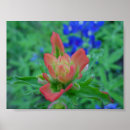 Search for multi region art Plants