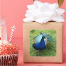 Search for regal stickers Bird