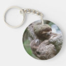 Search for hanging key rings Rainforest