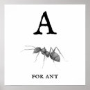 Search for ant posters Entomology