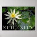 Search for white lily posters Inspirational