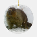 Search for beaver christmas tree decorations Animal