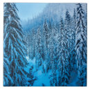 Search for washington state tiles Pacific northwest