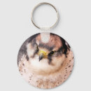 Search for falcons key rings Animal