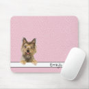 Search for yorkies electronics Yorkshire terrier