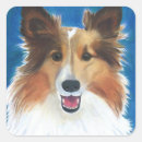 Search for sheep dog stickers Shetland