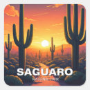 Search for desert cactus stickers National park